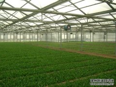 农业香蕉APP下载设备使用方法