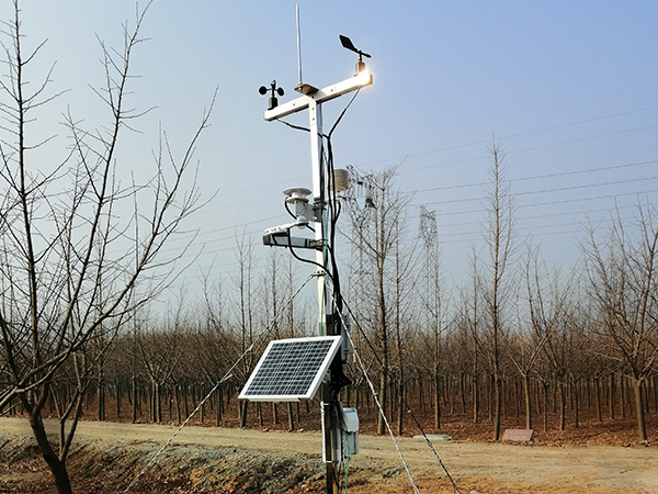 广西香蕉APP下载一体化结构简介
