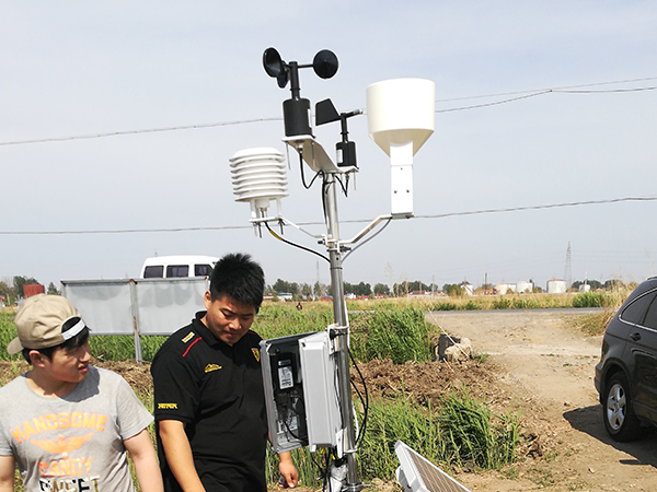 优质公路香蕉APP下载型号 甘肃